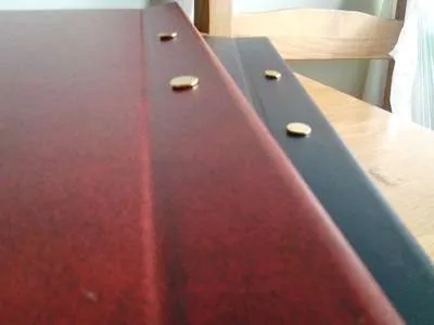 Coperti blank pe surub pentru audley - Imaginea 3