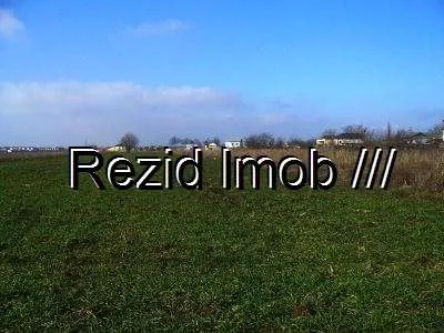 VANZARE TEREN AGRICOL 40 HA CORBII MARI - Imaginea 1