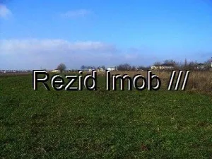 VANZARE TEREN AGRICOL 40 HA CORBII MARI