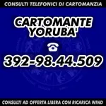 Cartomante Yoruba' - Miniatura 2