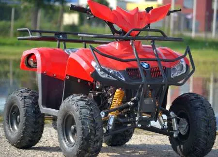 ATV Bmw 125 CC Camo Import Germania - Imaginea 1