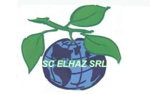 ELHAZ CONSULT