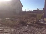 Teren 500mp In Berceni IF - Miniatura 3