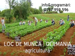 angajari germania in agricultura