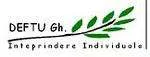 DEFTU Gh. Inteprindere Individuala - Imobiliare