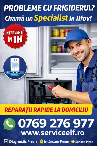 serviceelfRO