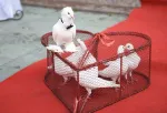 Inchiriez porumbei albi pt. nunti, Craiova - Miniatura 4