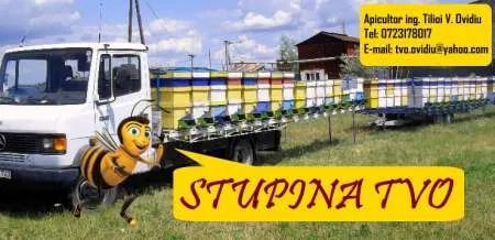   NOU! Magazin Online MiereTVO.ro - Imaginea 2