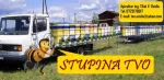   NOU! Magazin Online MiereTVO.ro - Miniatura 2