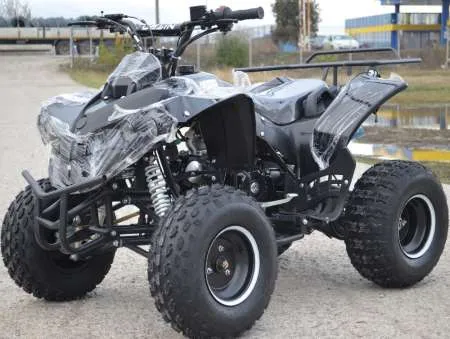 ATV Warrior 125cc Modelul S RG8 adulti si copii - Imaginea 2