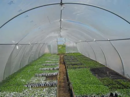 Solarii (kit) pentru legume, rasaduri sau flori - Imaginea 4