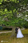 Filmari si fotografii evenimente - Miniatura 3