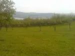 TEREN INTRAVILAN - Miniatura 2