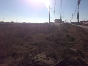 Teren 500mp In Berceni IF