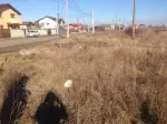 Teren 500mp In Berceni IF - Miniatura 4