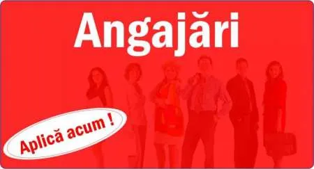 Angajam echipa de sapatori manuali - Imaginea 1