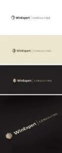 WIN EXPERT CONSULTING