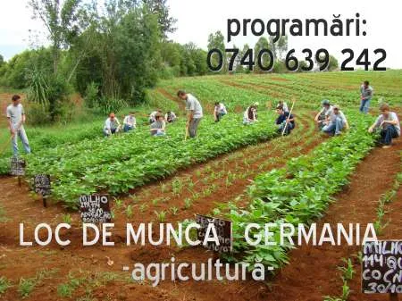  Muncitori in Agricultura, Germania 1400-1600E. - Imaginea 1
