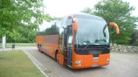 Targu Frumos - Rugby, Lincoln, Stanmore, Luton- Anglia, Transport persoane - Imaginea 1
