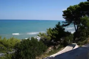 Dorohoi - San Benedetto, Novara, Pessaro, Italia, Transport persoane