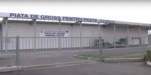 inchiriere spatii comerciale