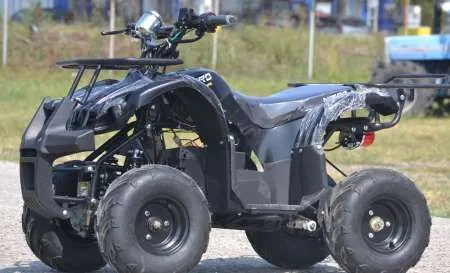 ATV E- QUAD 1000W ( IMP. GERMANIA) - Imaginea 1