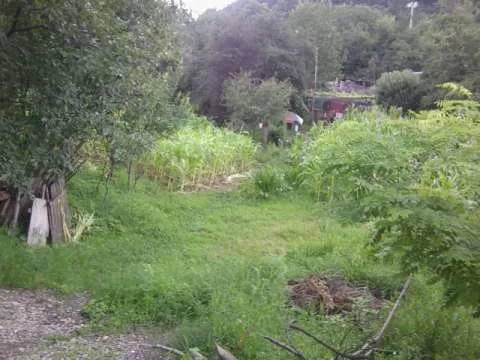Vand teren intravilan - Targu Ocna, judet Bacau - Imaginea 4