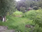 Vand teren intravilan - Targu Ocna, judet Bacau - Miniatura 4