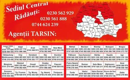 TARSIN - Transport international de persoane si colete  - Imaginea 4