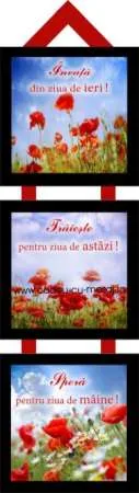 Producatori cadouri si decor - Imaginea 4
