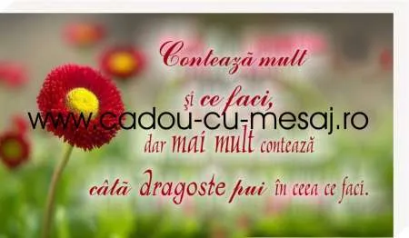 Producatori cadouri si decor - Imaginea 5