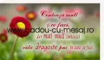 Producatori cadouri si decor - Miniatura 5