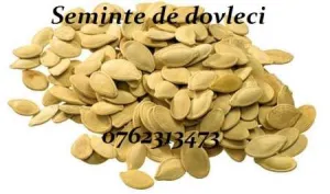 Seminte de dovleci placintari Sampson si Atlas