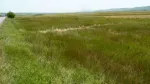vind teren extravilan prosper - Miniatura 1