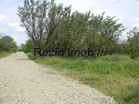 Vand Teren 600mp Buftea- Crevedia - Imaginea 1