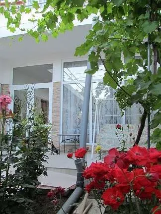 Vila Vladut Portul Turistic - Imaginea 2