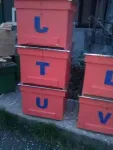 Stupi, lazi, albine - Miniatura 7