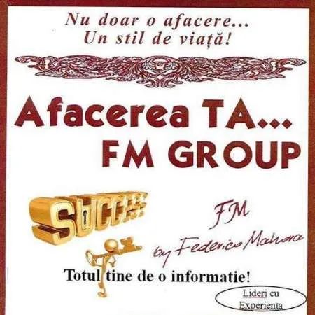 FM Group, sursa de venit - Imaginea 1