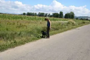 teren extravilan Dumbravesti