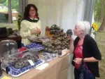 Vindem Trufe- Tartufi de sezon proaspat culese din padure - Miniatura 4