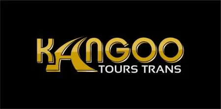 Transport marfa -auto intern-international - Imaginea 3