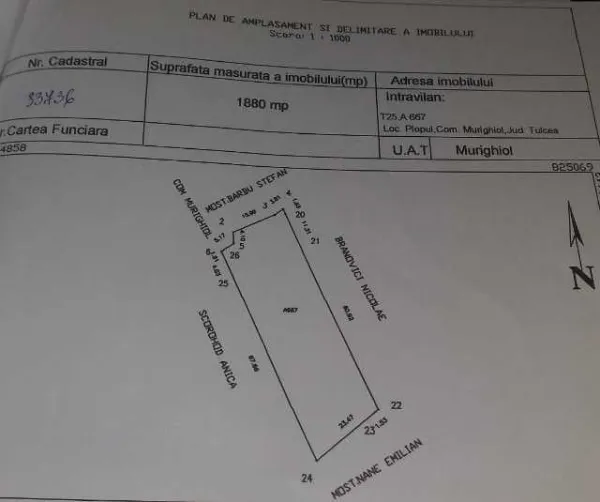 Vanzare teren intravilan si extravilan in sat Plopul, com. Murighiol - Imaginea 2
