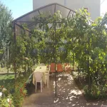 Cazare ieftina - Vila Roncea din Mangalia - Miniatura 5