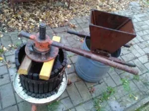 Teasc si Zdrobitor struguri