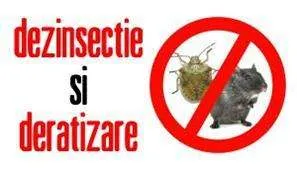DERATIZARI Trat fitosanitare Garantate - Imaginea 2