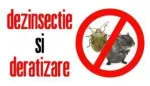 DERATIZARI Trat fitosanitare Garantate - Miniatura 2