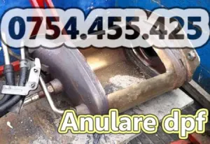 Anulare Filtru Particule Peugeot 206 208 307 308 508 407 607 HDI DPF OFF