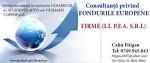 CONSULTANTA   - Miniatura 3