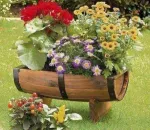 Butoaie din lemn, candelabru rustic, minibar, ciupercute - Miniatura 1