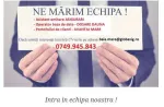 CONSULTANTA   - Miniatura 6